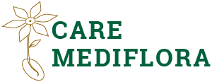Care mediflora logo